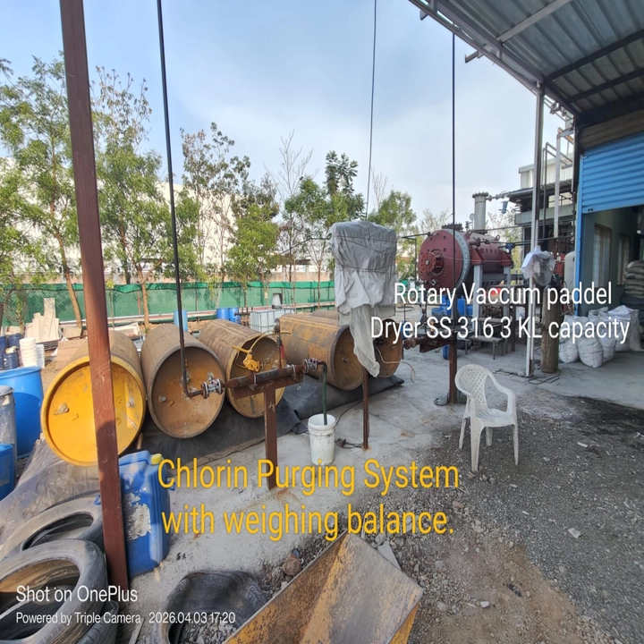 Chlorine purging system with rotary vacuum paddle dryer